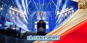 cá cược esports